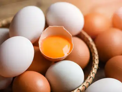 Telur Berkualitas